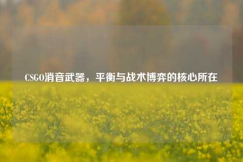 CSGO消音武器,平衡与战术博弈的核心所在