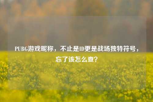 PUBG游戏昵称，不止是ID更是战场独特符号，忘了该怎么查？