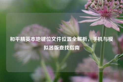 和平精英本地键位文件位置全解析，手机与模拟器版查找指南