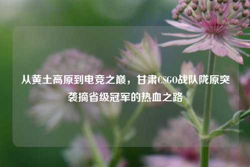 从黄土高原到电竞之巅，甘肃CSGO战队陇原突袭摘省级冠军的热血之路