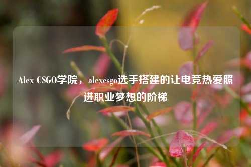 Alex CSGO学院，alexcsgo选手搭建的让电竞热爱照进职业梦想的阶梯