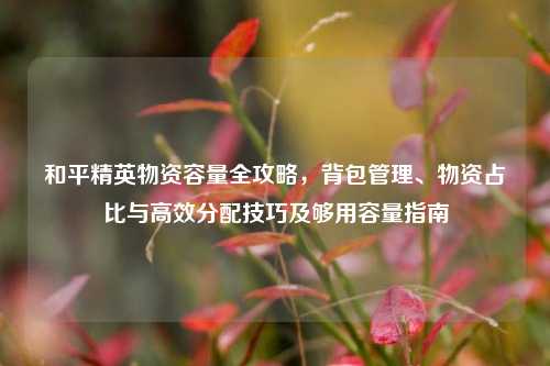 和平精英物资容量全攻略，背包管理、物资占比与高效分配技巧及够用容量指南