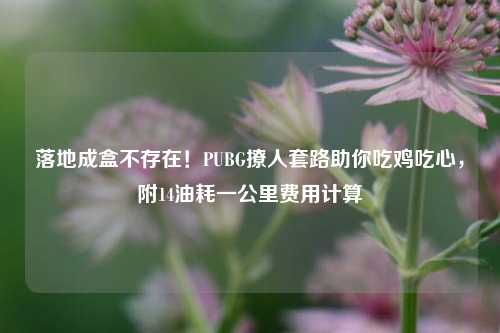 落地成盒不存在！PUBG撩人套路助你吃鸡吃心，附14油耗一公里费用计算