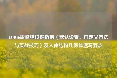 COD16震撼弹按键指南（默认设置、自定义方法与实战技巧）及人体结构几何体速写要点