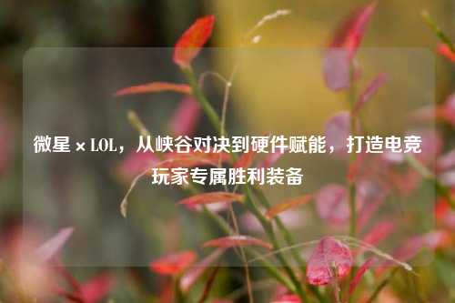微星×LOL，从峡谷对决到硬件赋能，打造电竞玩家专属胜利装备