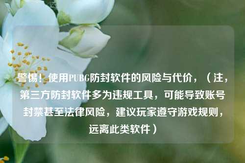 警惕！使用PUBG防封软件的风险与代价，（注，第三方防封软件多为违规工具，可能导致账号封禁甚至法律风险，建议玩家遵守游戏规则，远离此类软件）