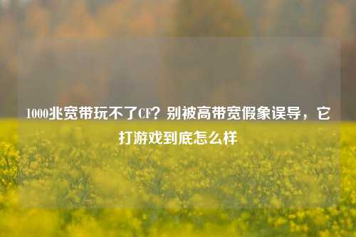 1000兆宽带玩不了CF？别被高带宽假象误导，它打游戏到底怎么样