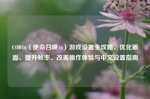 COD16（使命召唤16）游戏设置全攻略，优化画面、提升帧率、改善操作体验与中文设置指南