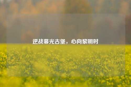 逆战暮光古堡，心向黎明时