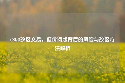 CSGO改区交易，低价诱惑背后的风险与改区方法解析