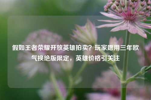 假如王者荣耀开放英雄拍卖？玩家愿用三年欧气换绝版限定，英雄价格引关注