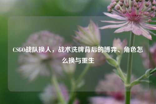 CSGO战队换人,战术洗牌背后的博弈、角色怎么换与重生