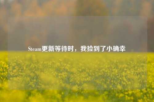 Steam更新等待时，我捡到了小确幸