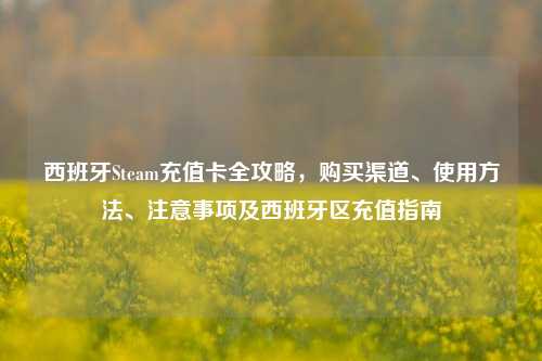 西班牙Steam充值卡全攻略，购买渠道、使用方法、注意事项及西班牙区充值指南