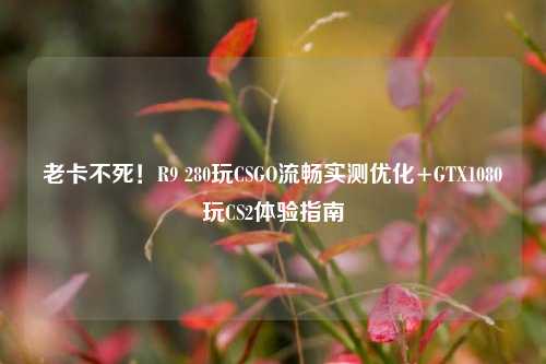 老卡不死！R9 280玩CSGO流畅实测优化+GTX1080玩CS2体验指南