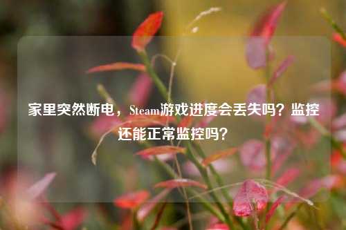 家里突然断电，Steam游戏进度会丢失吗？监控还能正常监控吗？