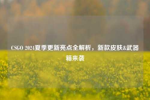 CSGO 2024夏季更新亮点全解析，新款皮肤&武器箱来袭