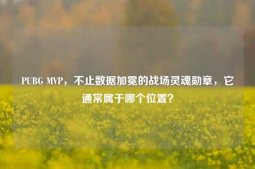 PUBG MVP，不止数据加冕的战场灵魂勋章，它通常属于哪个位置？