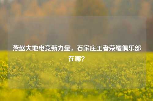 燕赵大地电竞新力量，石家庄王者荣耀俱乐部在哪？