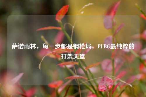 萨诺雨林，每一步都是钢枪局，PUBG最纯粹的打架天堂