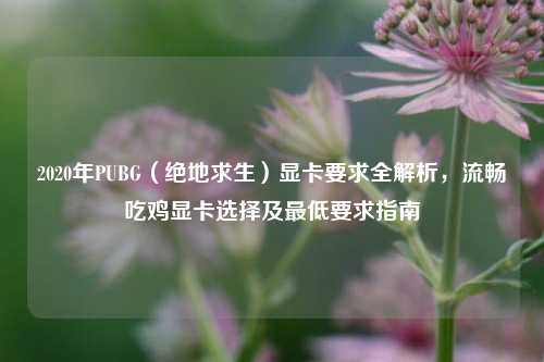 2020年PUBG（绝地求生）显卡要求全解析，流畅吃鸡显卡选择及最低要求指南