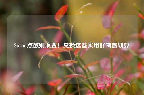 Steam点数别浪费！兑换这些实用好物最划算