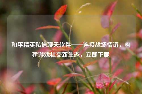 和平精英私信聊天软件——连接战场情谊，构建游戏社交新生态，立即下载