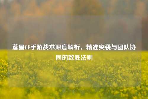 落星CF手游战术深度解析，精准突袭与团队协同的致胜法则
