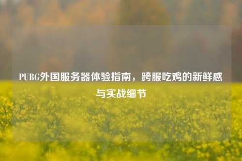 PUBG外国服务器体验指南，跨服吃鸡的新鲜感与实战细节
