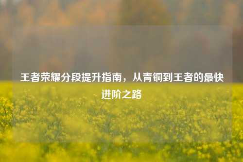 王者荣耀分段提升指南，从青铜到王者的最快进阶之路