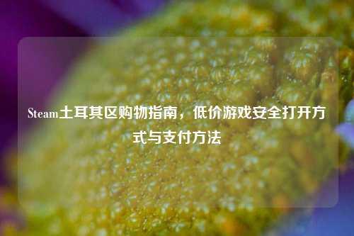 Steam土耳其区购物指南，低价游戏安全打开方式与支付方法