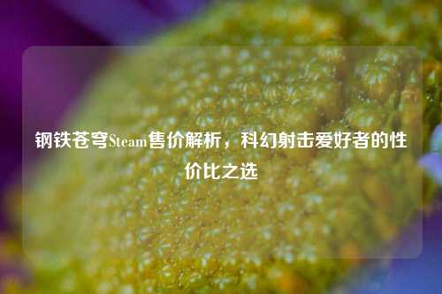 钢铁苍穹Steam售价解析，科幻射击爱好者的性价比之选