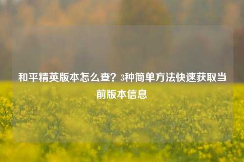 和平精英版本怎么查？3种简单方法快速获取当前版本信息