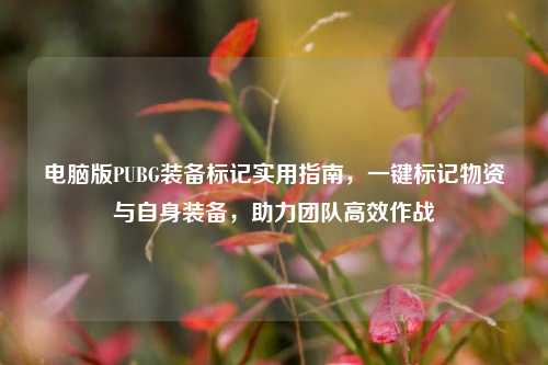 电脑版PUBG装备标记实用指南，一键标记物资与自身装备，助力团队高效作战