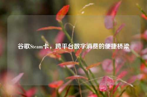 谷歌Steam卡，跨平台数字消费的便捷桥梁