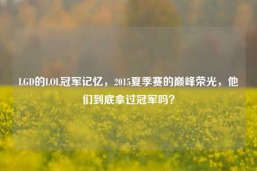 LGD的LOL冠军记忆，2015夏季赛的巅峰荣光，他们到底拿过冠军吗？
