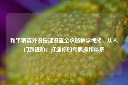 和平精英外设按键设置全攻略教学视频，从入门到进阶，打造你的专属操作体系