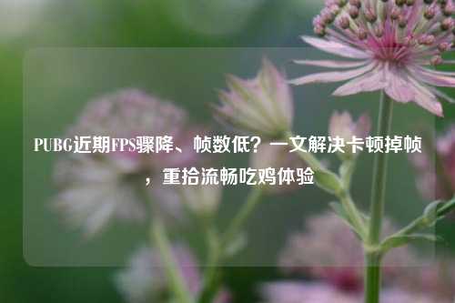 PUBG近期FPS骤降、帧数低？一文解决卡顿掉帧，重拾流畅吃鸡体验