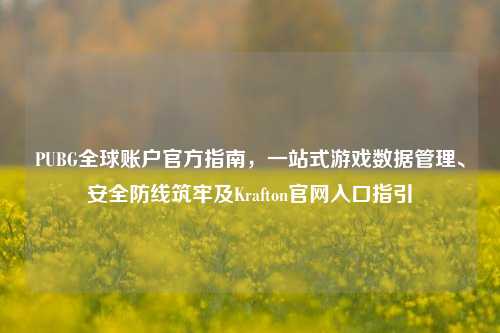 PUBG全球账户官方指南，一站式游戏数据管理、安全防线筑牢及Krafton官网入口指引
