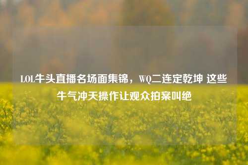 LOL牛头直播名场面集锦，WQ二连定乾坤 这些牛气冲天操作让观众拍案叫绝