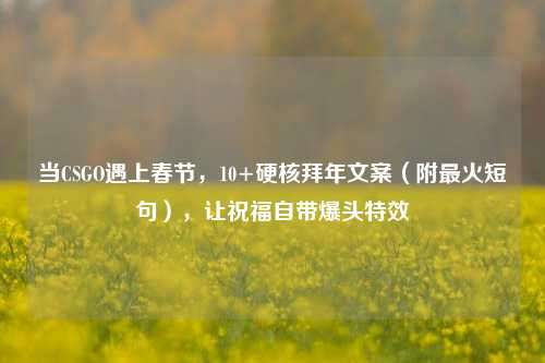 当CSGO遇上春节，10+硬核拜年文案（附最火短句），让祝福自带爆头特效