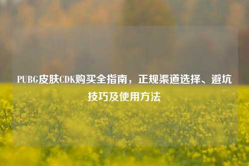 PUBG皮肤CDK购买全指南，正规渠道选择、避坑技巧及使用方法