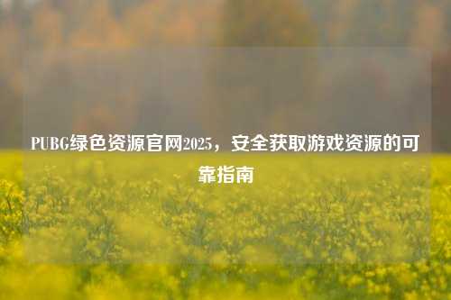 PUBG绿色资源官网2025，安全获取游戏资源的可靠指南