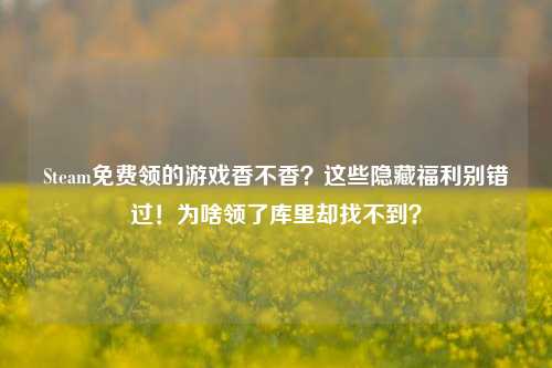 Steam免费领的游戏香不香？这些隐藏福利别错过！为啥领了库里却找不到？