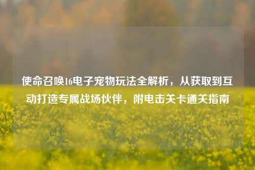使命召唤16电子宠物玩法全解析，从获取到互动打造专属战场伙伴，附电击关卡通关指南