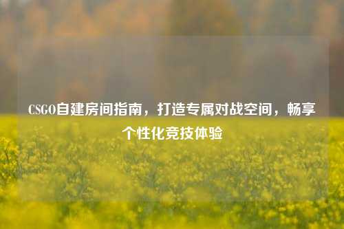 CSGO自建房间指南，打造专属对战空间，畅享个性化竞技体验