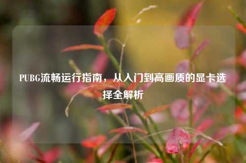 PUBG流畅运行指南，从入门到高画质的显卡选择全解析