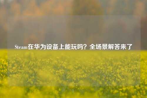 Steam在华为设备上能玩吗？全场景解答来了