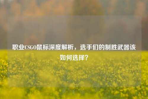 职业CSGO鼠标深度解析,选手们的制胜武器该如何选择?