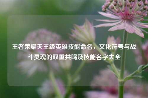 王者荣耀天王级英雄技能命名，文化符号与战斗灵魂的双重共鸣及技能名字大全